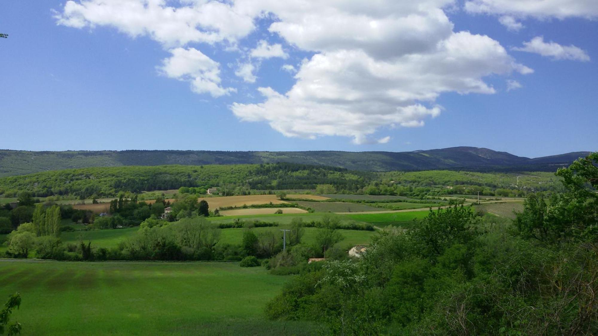Le Grain De Lavande - Mont Ventoux Sault Eksteriør billede